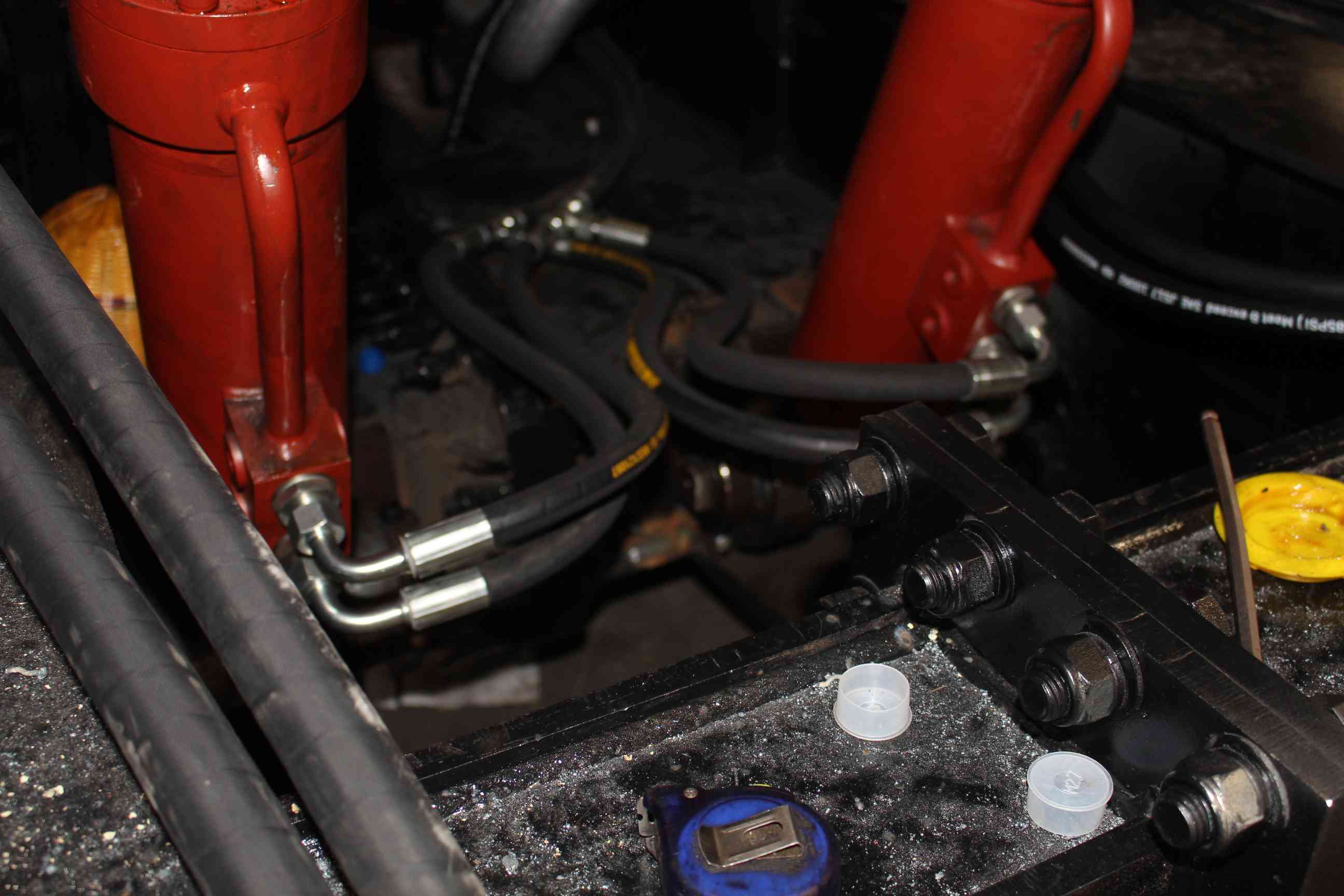 通江：银耳+剪纸，巴中的非遗