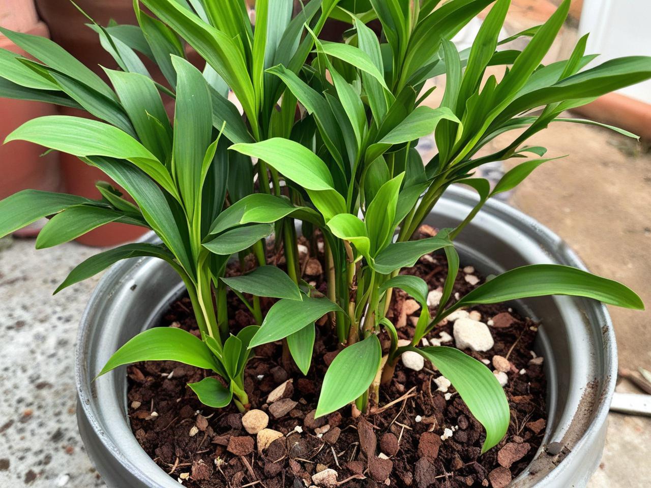 大邑县安仁古镇入选全国“非遗旅游小镇”