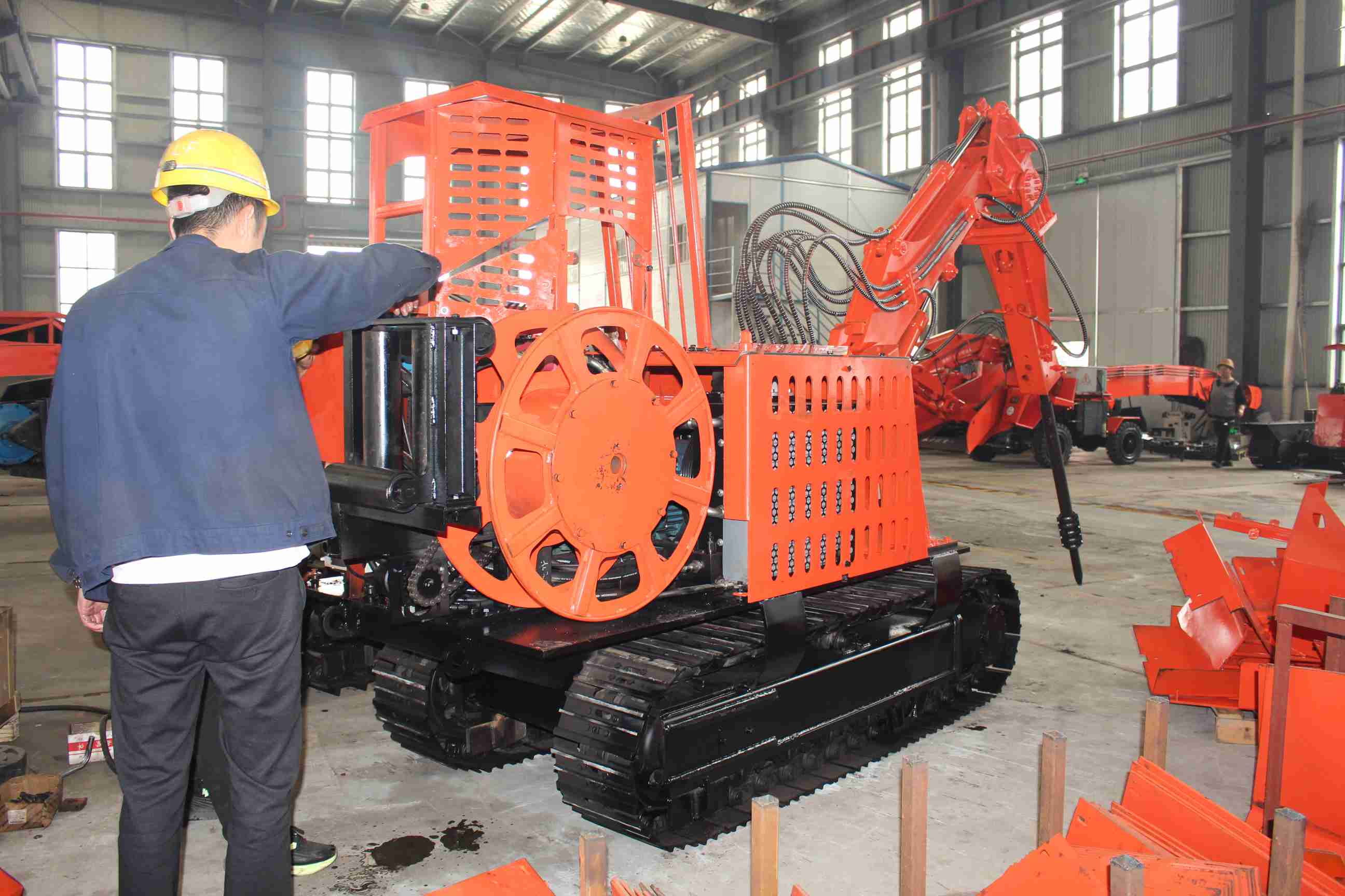 松茸自由指南 2024年松茸价格走势与购买渠道