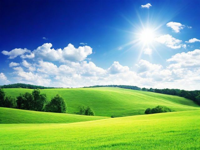 资阳：安岳竹编+东峰剪纸，雁城的非遗工艺